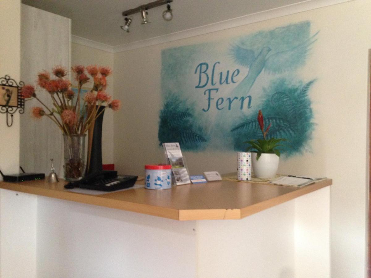Blue Fern Of Knysna Panzió Kültér fotó